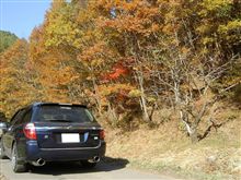 紅葉ドライブ