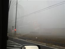 まっしろ