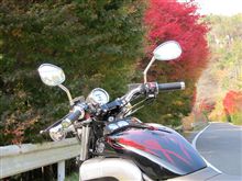 紅葉を求めて♪
