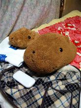 ボケてましたｗ