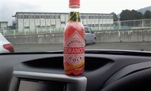 今日の一本