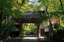 そうだ　京都、行こう。
