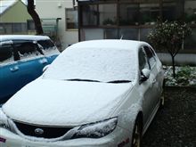 とうとう雪