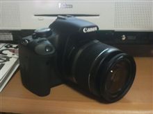 新規導入 新規導入