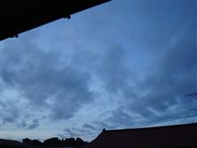 １１月１３日　またしても雲が多い１３日の金曜日、おはです～♪