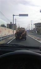 近づきたくない…