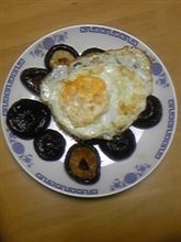 本日の炒めもの