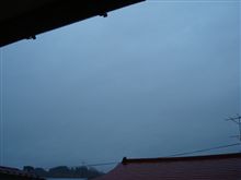 １１月１４日　予報通りに雨が降ってる土曜日の朝、おはです～♪ 