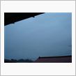 １１月１４日　予報通りに雨が ...