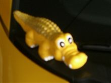 黄鰐アクセサリー