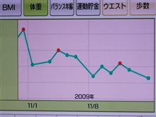～ 重量化レポートWii Fit plus Part3 ～