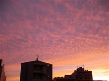 11月14日土曜日の日記 11月14日土曜日の日記