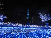 六本木のイルミネーションと青い東京タワー