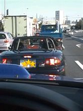 こん千葉