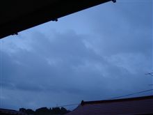 １１月１６日　雨で暗い週明け月曜日、おはです～♪