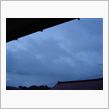 １１月１６日　雨で暗い週明け ...