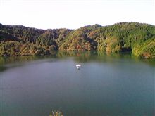 昨日は暖かったので