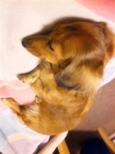 心休まらなかったみたいです～
