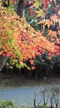 広島の緑化センター