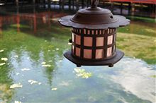 広島からの帰宅 広島からの帰宅