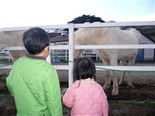 那須どうぶつ王国へ～♪