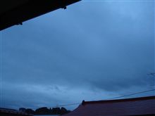 １１月１７日　またまた雨上がりな火曜日の朝、おはです～♪