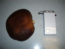 デカ椎茸の食べ方