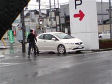 目撃(◎Д◎)