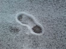 雪景色。。。