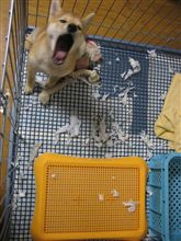 う゛ぅぅ・・・