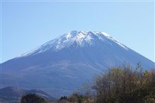 遅ればせながら・・・