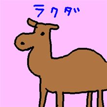 ラクダとスカイライン