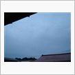 １１月１９日　寒～いラス２木 ...