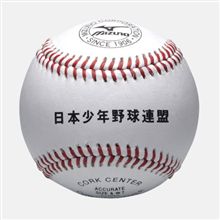 少年野球～高校野球の指導者に問いたい