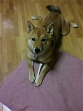 充実した一週間になりそう♪