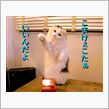 確かに頂けるのは嬉しいのです ...