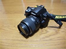 Nikon D40