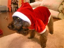 クリスマスモード