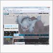 今更ですが・・・IE8導入