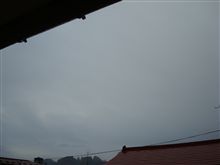１１月２１日　朝から雨がザーザー降ってる土曜日の朝、おはです～♪