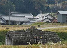 私のお墓の前で・・・・そこに私はいません　（お墓の種類）