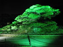 栗林公園のライトアップ
