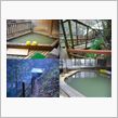 塩原温泉・塩の湯「柏屋旅館」 ...