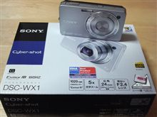 DSC-WX1