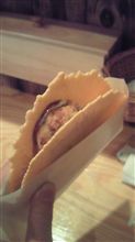 ｳﾒﾋｶﾙ