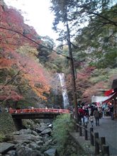 大阪にお出掛け①：箕面公園で紅葉見物