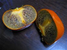 まだまだ秋の味覚～紀ノ川～