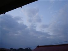１１月２４日　軽～く雨上がりな火曜日の朝、おはです～♪