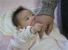 ぶちかわいい♪