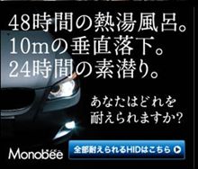 HIDバーナーをMonobeeにしました